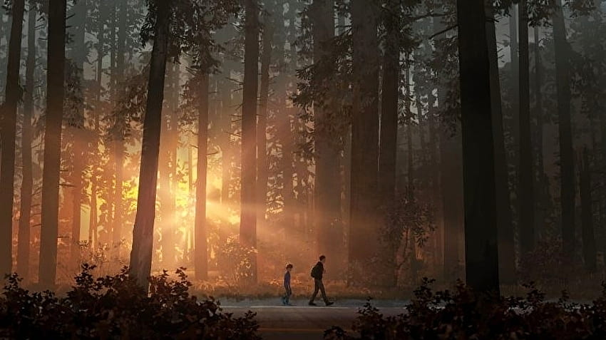 Episode 5 of ” Life Is Strange 2 is almost ready. Life is strange HD wallpaper