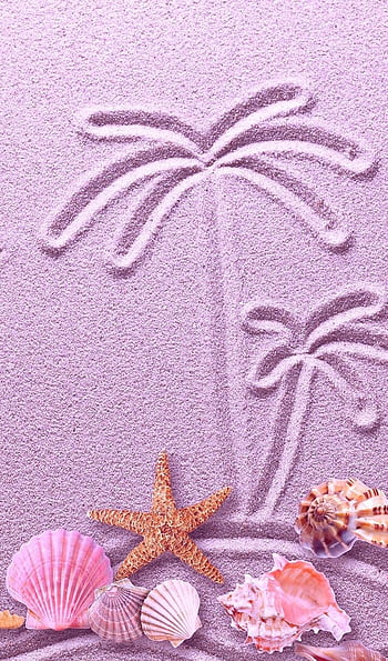 Seashore Shells & Coral Clipart in Pink By Amanda Ilkov, Pink Seashell ...