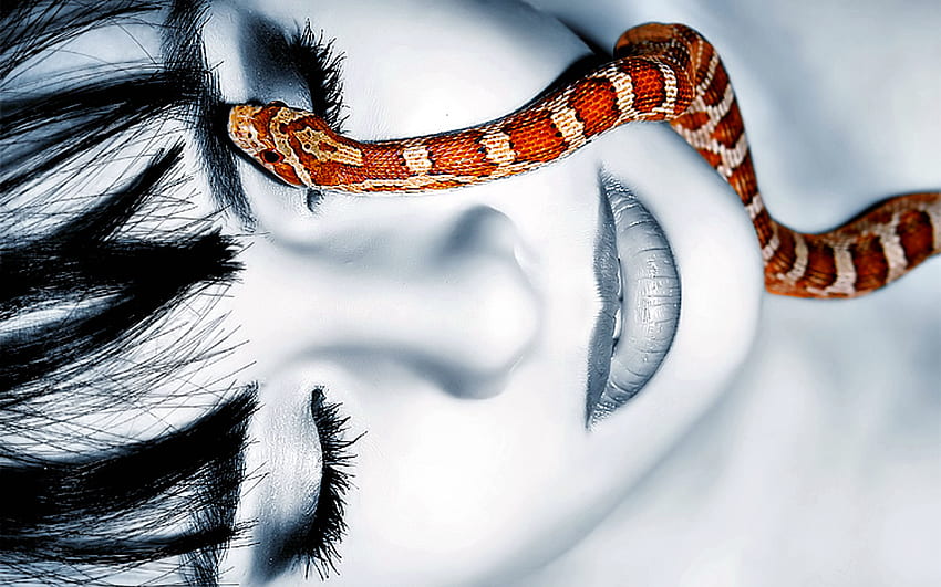 Beauty And Snake, serpent, modèle, visage, lèvres, belle, fille, femme, agréable Fond d'écran HD