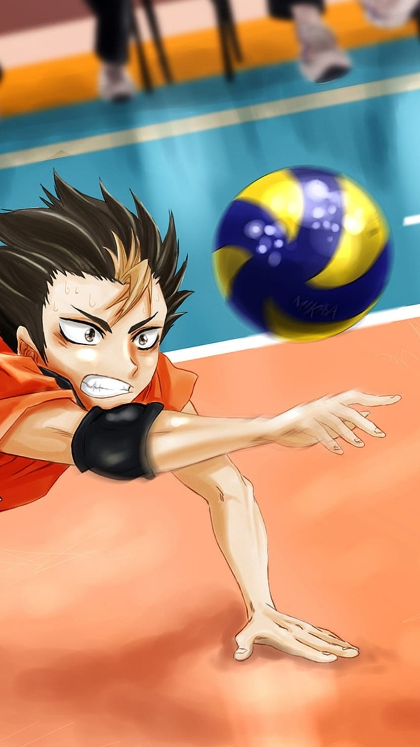 Volleyball, Anime, Sports Background HD phone wallpaper Pxfuel