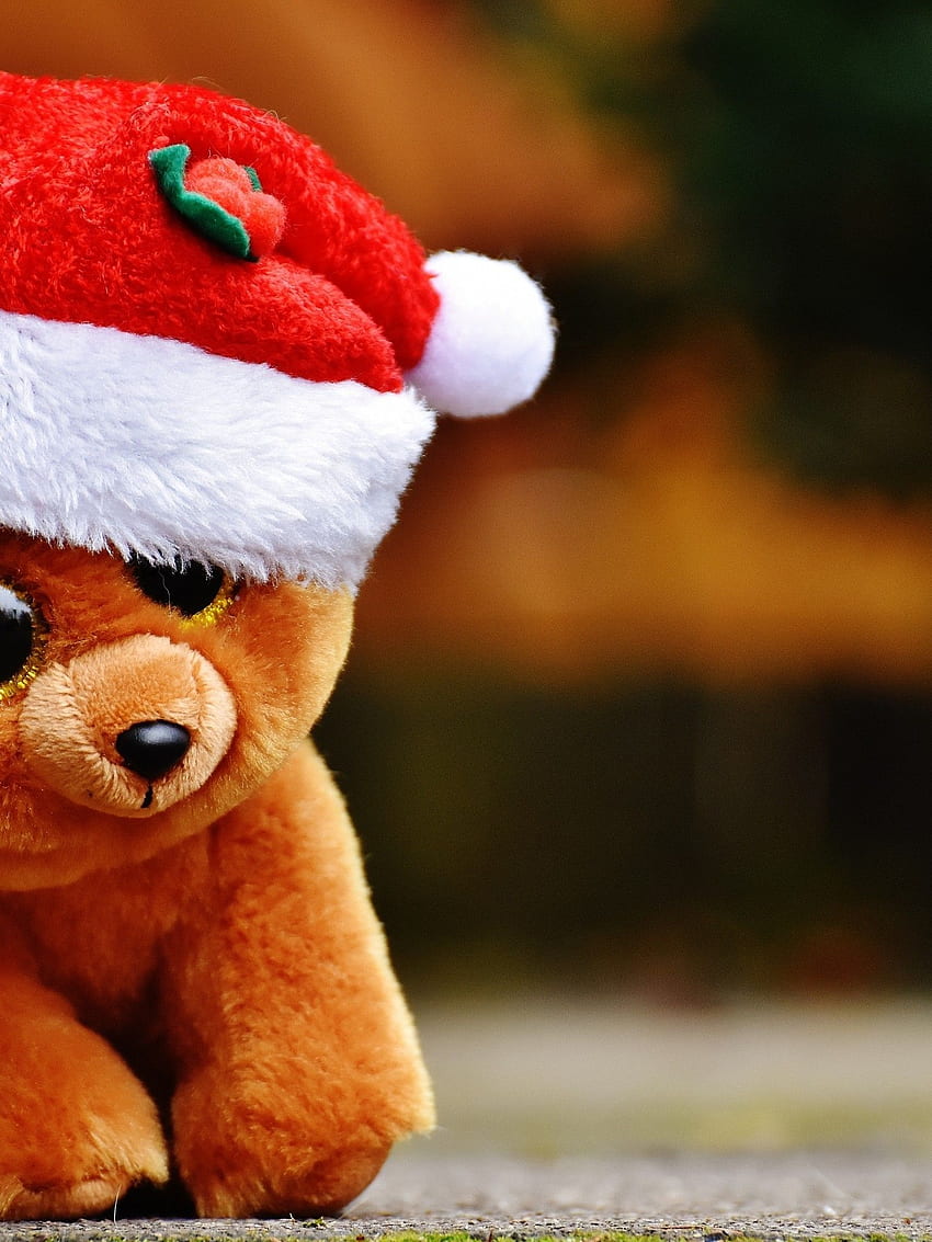 Teddy Bear, Santa Hat, Toys HD phone wallpaper | Pxfuel