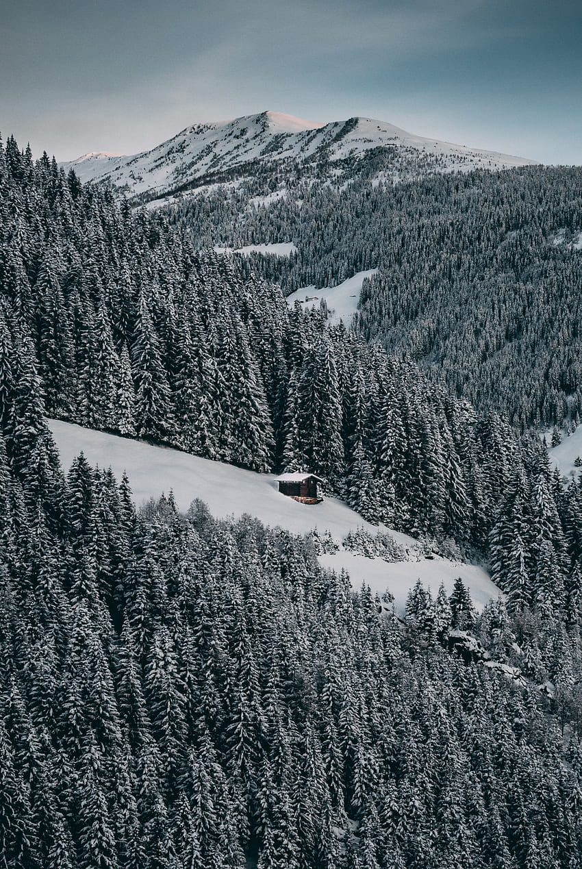 Зима, природа, дървета, небе, сняг, гора, малка къща, хижа, надморска височина HD тапет за телефон