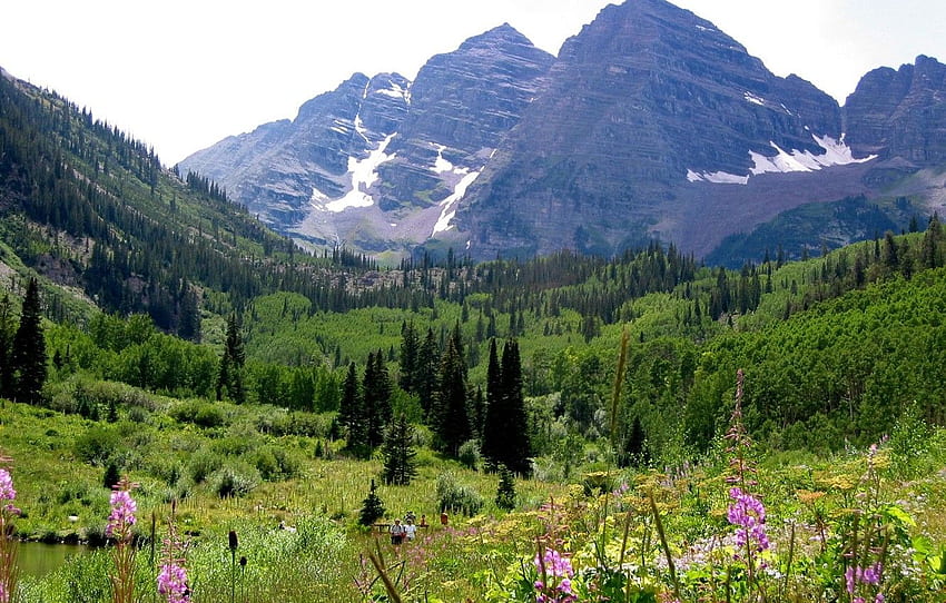 forêt, fleurs, montagnes, Colorado, Colorado, Maroon Bells avec des fleurs sauvages pour , section природа Fond d'écran HD