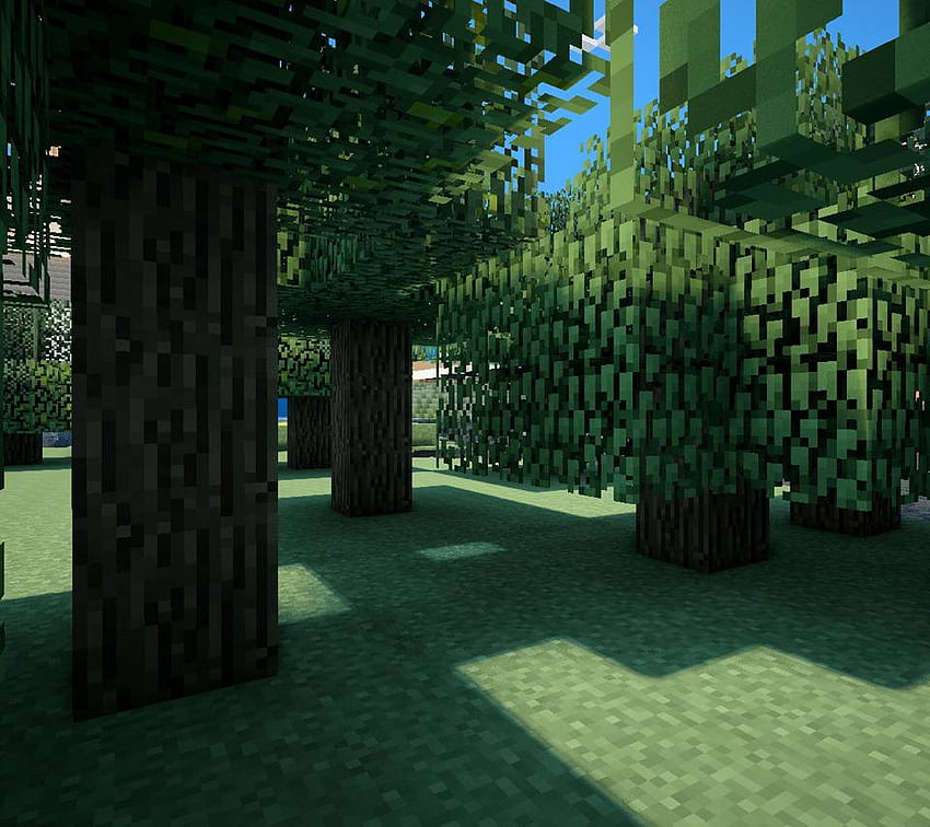 Bosque de Minecraft, Jungla de Minecraft fondo de pantalla