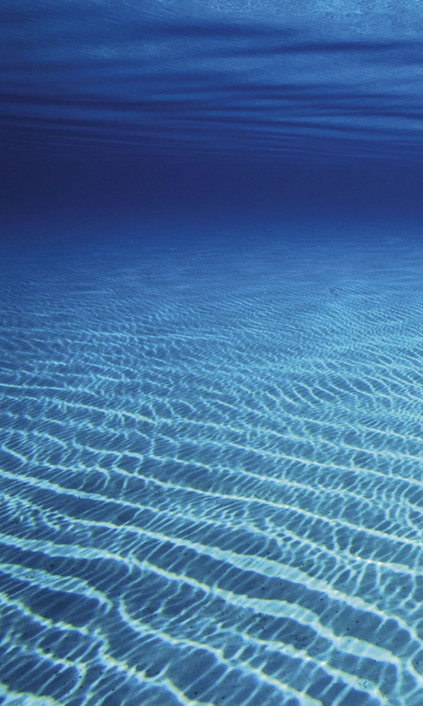 Ocean Floor Lumia 1020 [] para seu celular e tablet. Explorar telefone oceano. Belo oceano, ondas do mar, ondas em movimento ao vivo, 768 x 1280 Papel de parede de celular HD