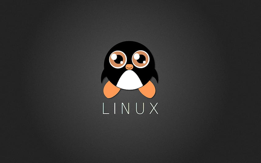 Linux のロゴ、Linux、Tux、ペンギン 高画質の壁紙
