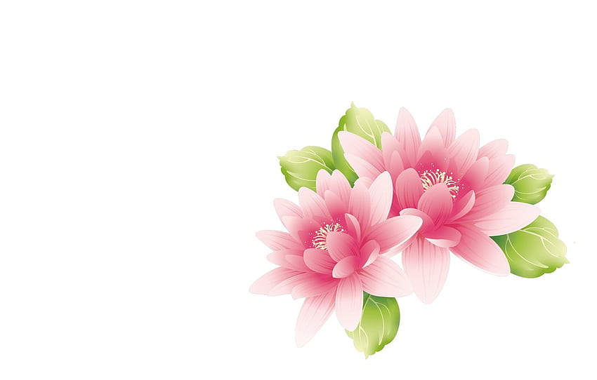 flowers, art, Lotus for , section минимализм - , Lotus Flower Art HD wallpaper