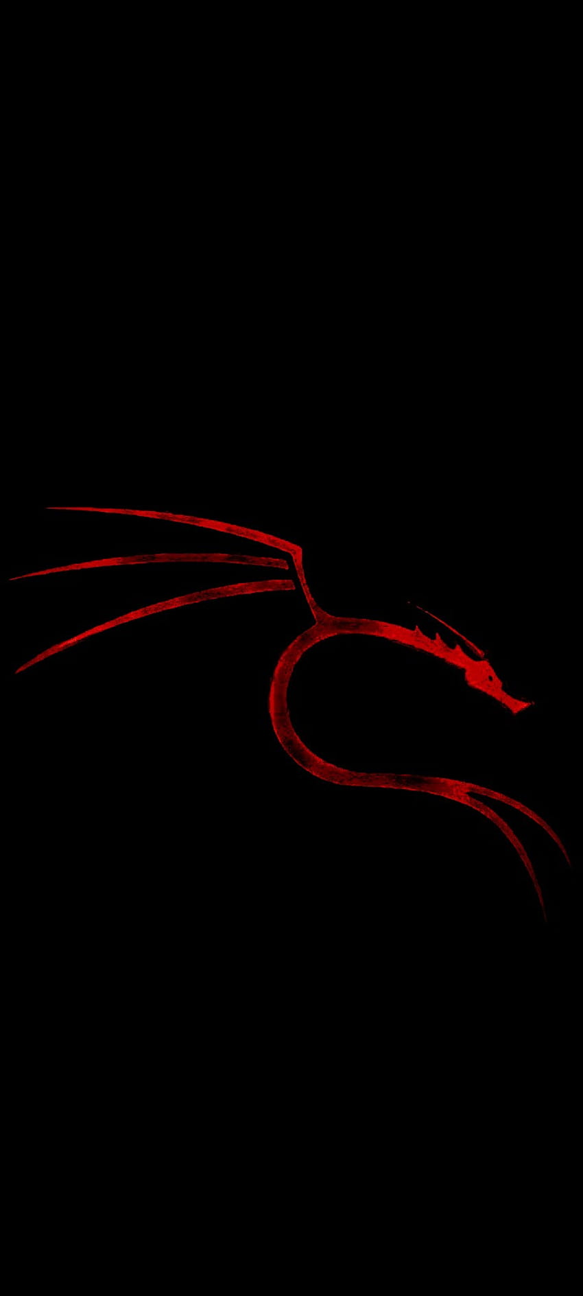 Kali red rage, hacker, dragon, scifi HD phone wallpaper | Pxfuel