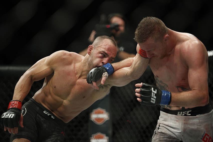 UFC 218 bonuses: Eddie Alvarez vs. Justin Gaethje, Yancy Medeiros HD ...