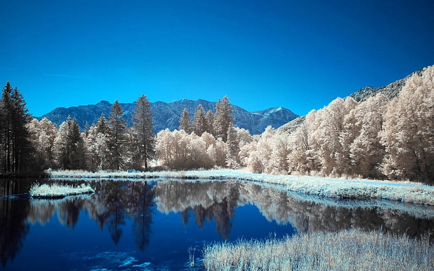 natureza colorida, azul, branco, cor, grafia, árvores, céu, floresta, lago papel de parede HD