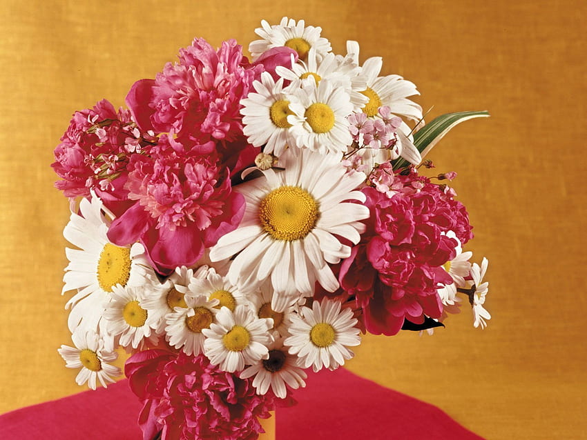 Blumen, Kamille, Pfingstrosen, Blumenstrauß, Vase HD-Hintergrundbild