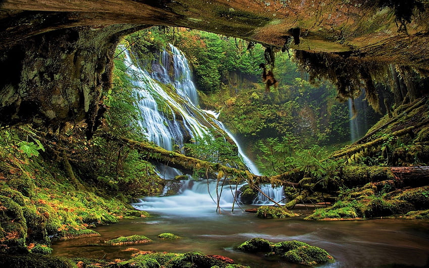 Водопади в Mossy Forest, водопади, природа, гори, мъх HD тапет