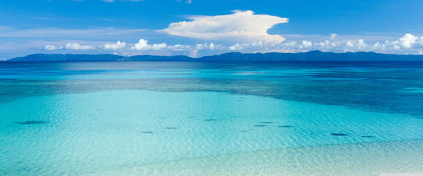 Ada Sahili Panoramik Manzarası, 3840X1600 Doğa HD duvar kağıdı