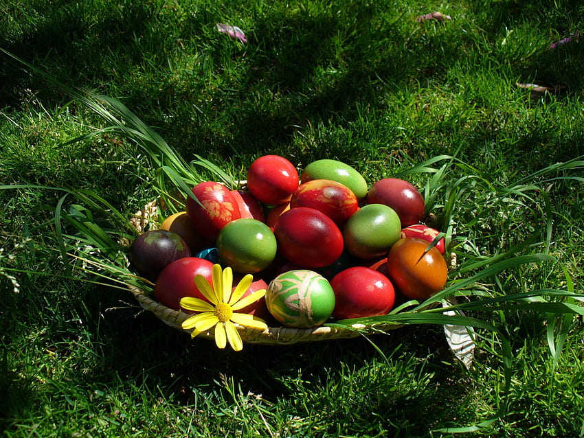 Feiertage, Eier, Ostern HD-Hintergrundbild