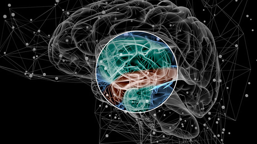 I neuroscienziati identificano il modello di attività cerebrale legato alla schizofrenia. Centro di imaging biomedico della Northeastern University Sfondo HD