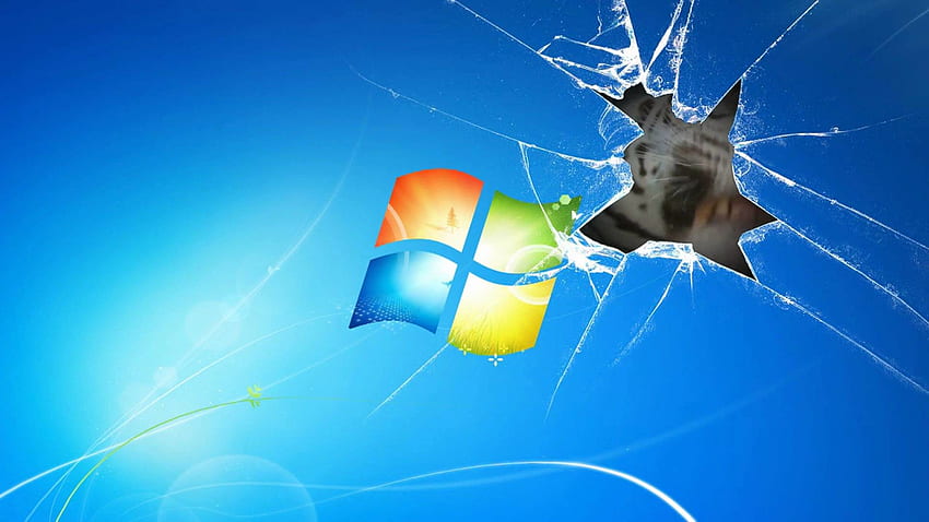 Windows 7 Animated Tiger on broken screen HD wallpaper | Pxfuel