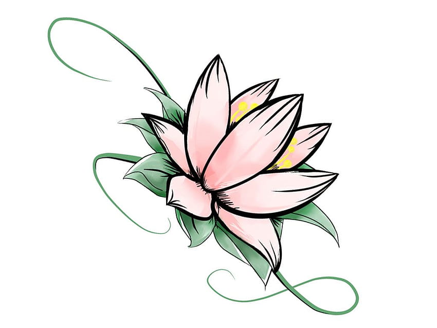 Lotus Flower Coloured Pencil Drawing by lukehanlon1 on DeviantArt