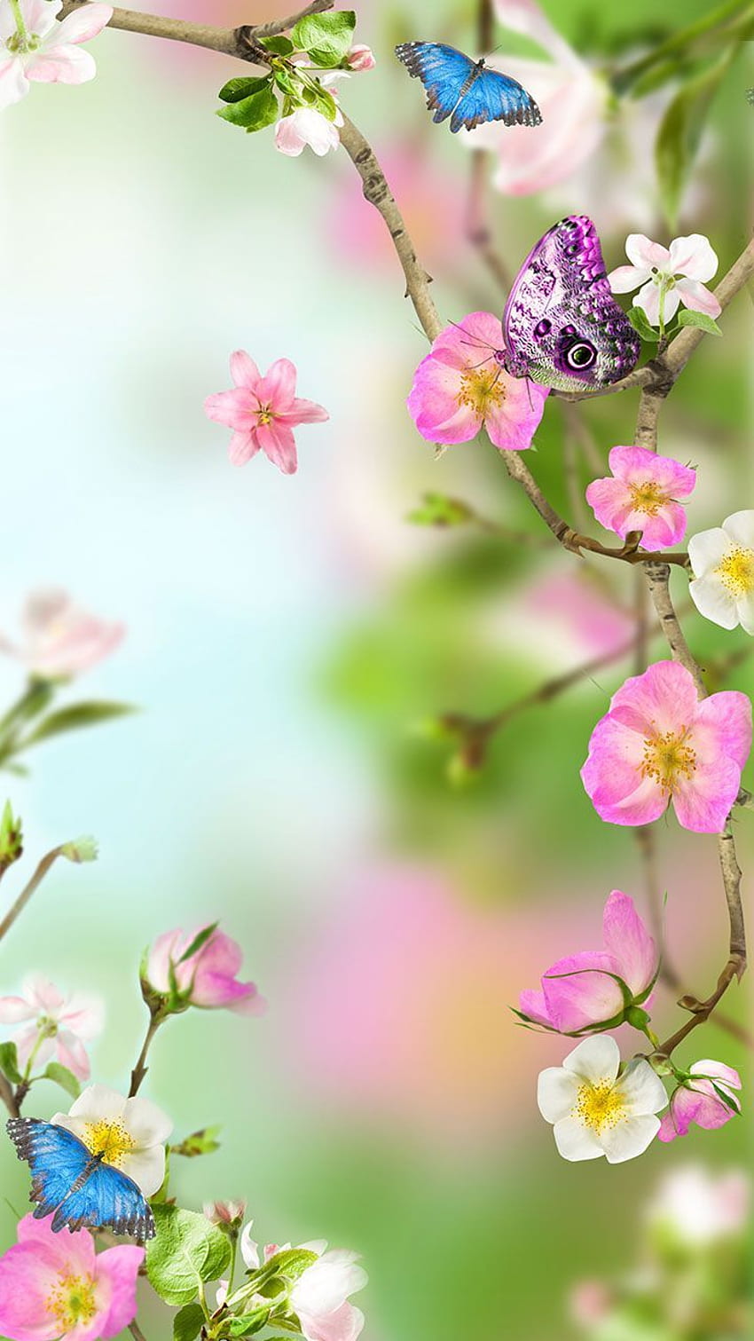 Flowers Live : Appstore for Android, Spring Floral HD phone wallpaper