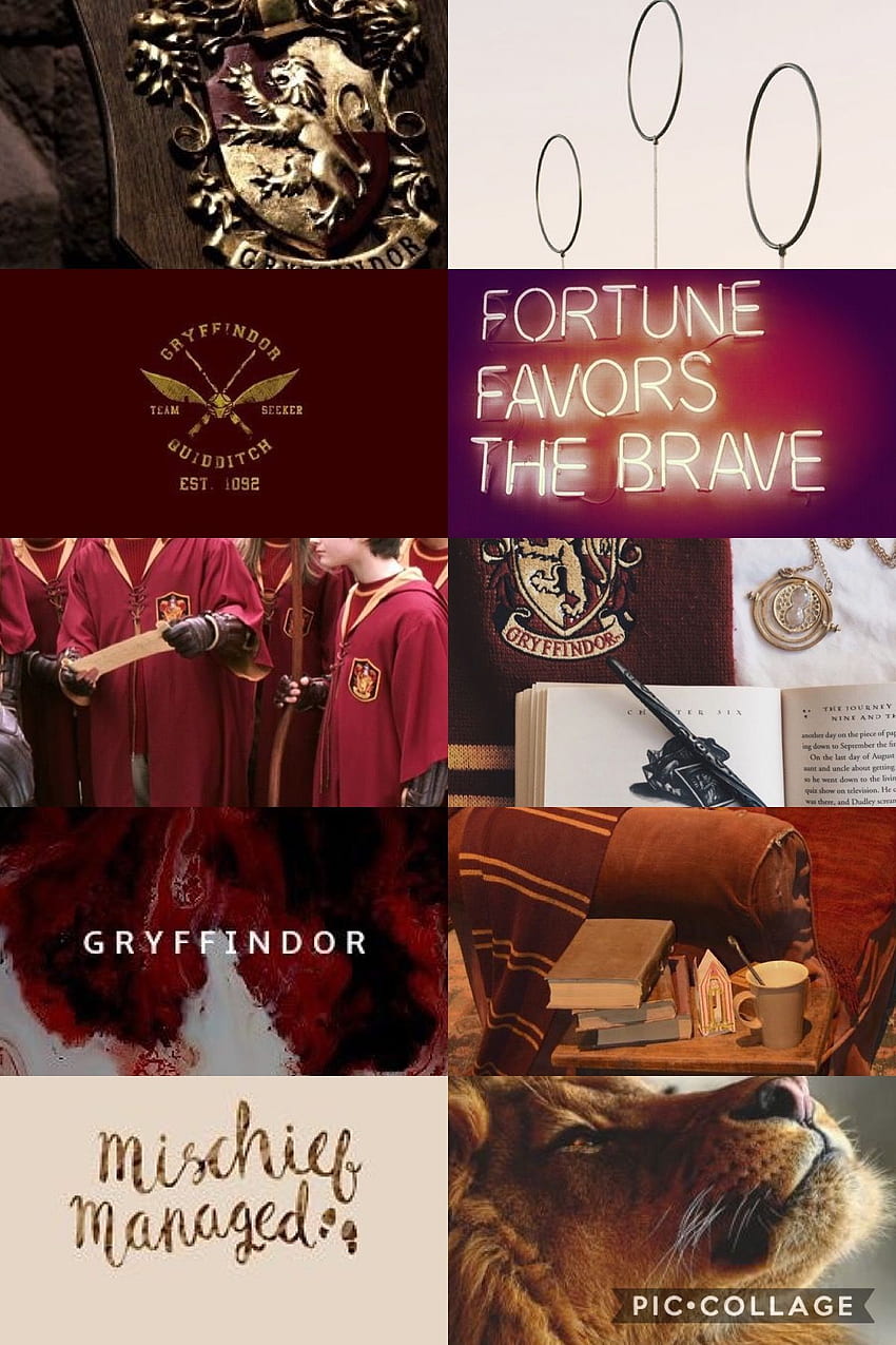 Gryffindor Wallpaper  Fandom