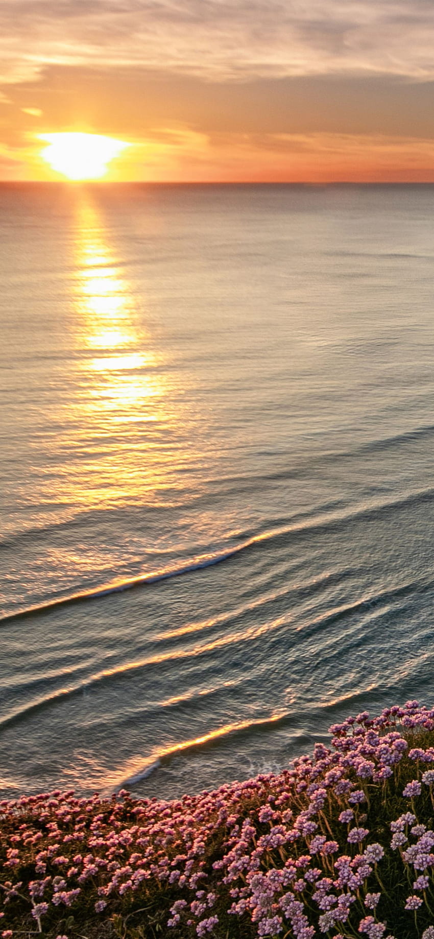 ขอบฟ้าชายหาดที่สวยงาม iPhone 12 , Beige Beach วอลล์เปเปอร์โทรศัพท์ HD