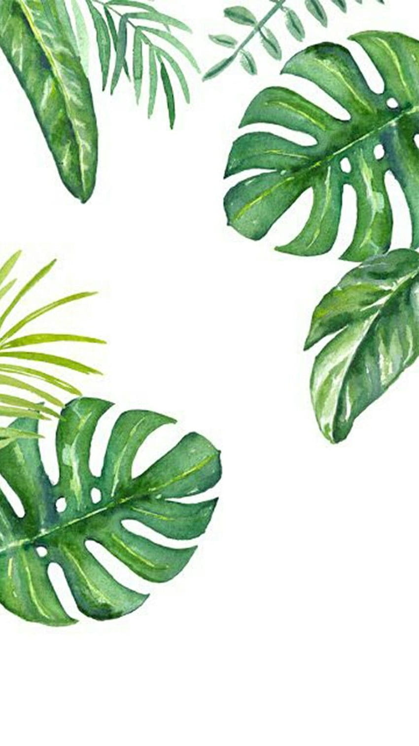 スタイルコープオングリーン。 植物 , 水彩画 , 水彩画の植物 , ジャングルの植物 HD電話の壁紙