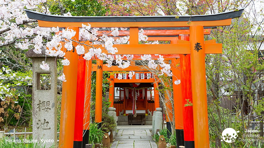 Bawa Jepang ke panggilan konferensi Anda dengan latar belakang virtual ini. Travel Japan, Rumah Tradisional Jepang Wallpaper HD