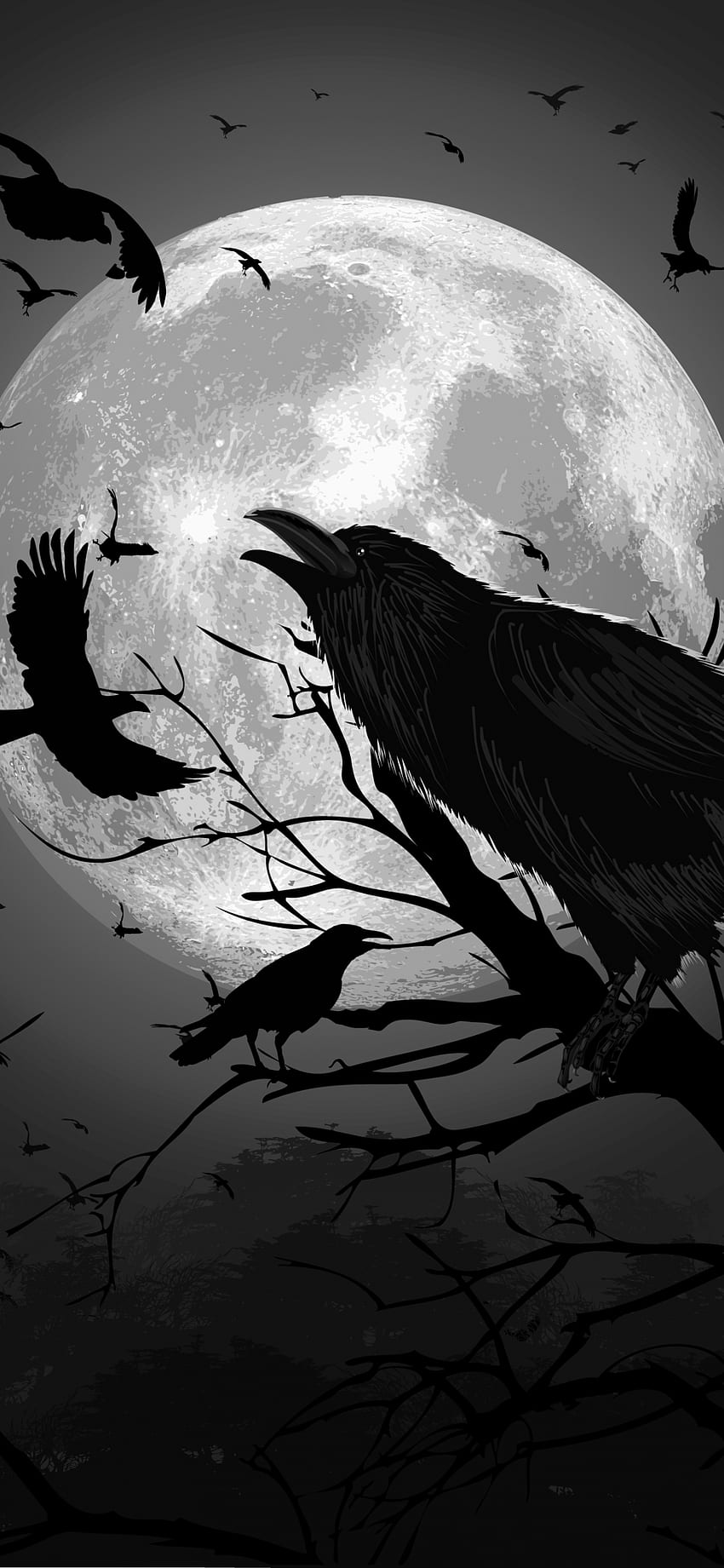 Raven bird art black lines HD phone wallpaper  Peakpx