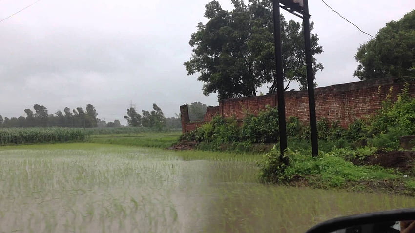 Monsoon Rain in Indian Village Mawana Dhikoli, Vilage Rain HD wallpaper