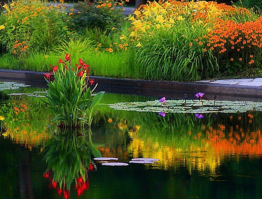 가을 색깔의 연못, 계절, 가을, 신비, 가을, 연못, 마법 HD 월페이퍼
