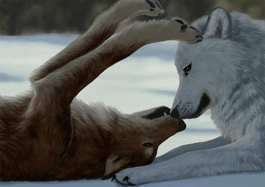 Wolves playing, winter, wolves, painting, animals, snow HD wallpaper