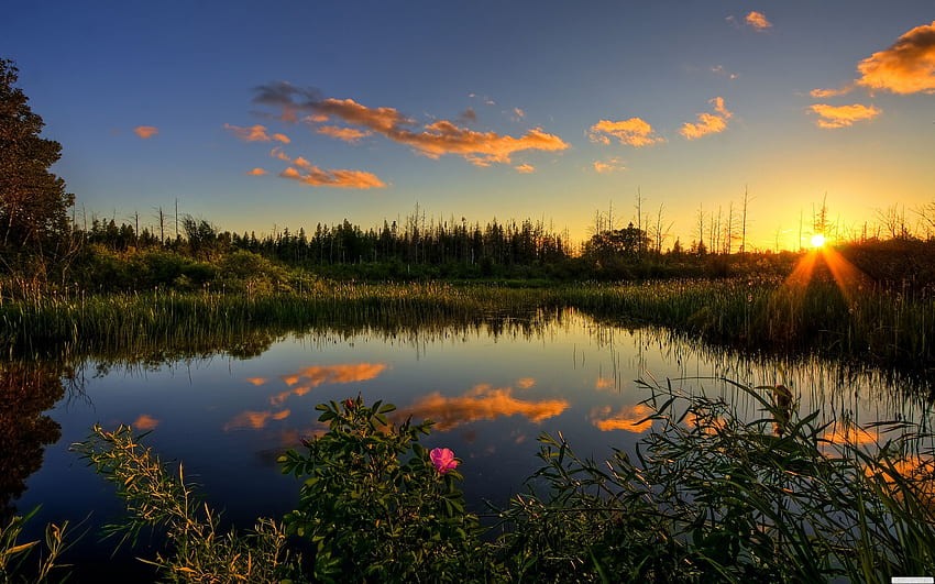 Paysage des Everglades, Floride Fond d'écran HD