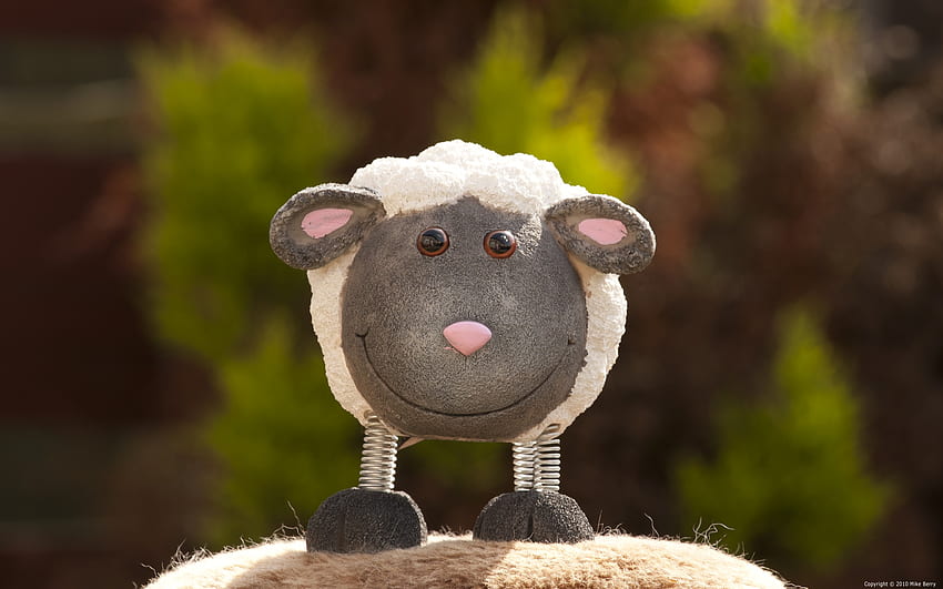 Sheep Bank, resumo, grafia, banco, ovelha, jardim, rocha papel de parede HD