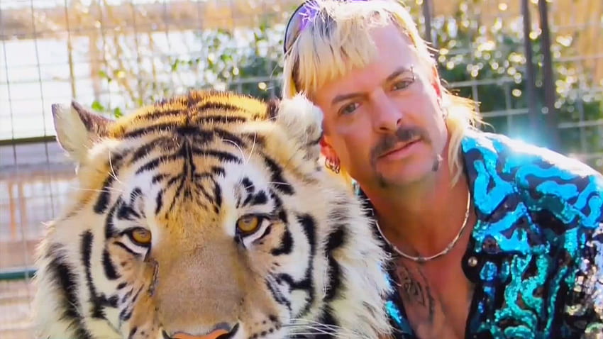 What's Next For 'Tiger King' Star Joe Exotic? HD wallpaper