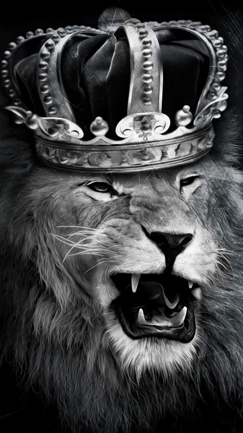 Angry Lion King IPhone - Vector PNG, PSD, Prediseñadas, Plantillas fondo de pantalla del teléfono