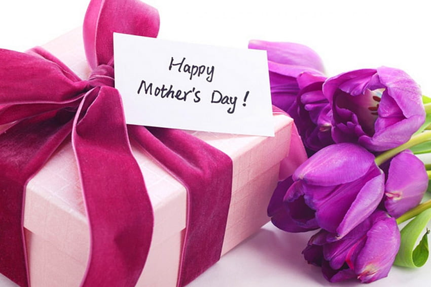 Festa della mamma, viola, festa della mamma, fiori, regalo Sfondo HD