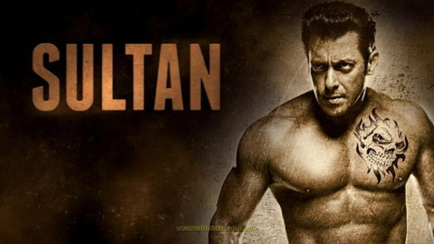 Salman Khan Sexy Chudai - Salman Khan set to revive 'Tere Naam' magic. Hindi Movie News - Times of  India HD wallpaper | Pxfuel