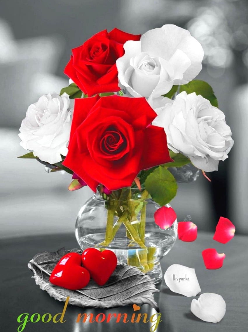 Page 26 | beautiful flowers roses HD wallpapers | Pxfuel