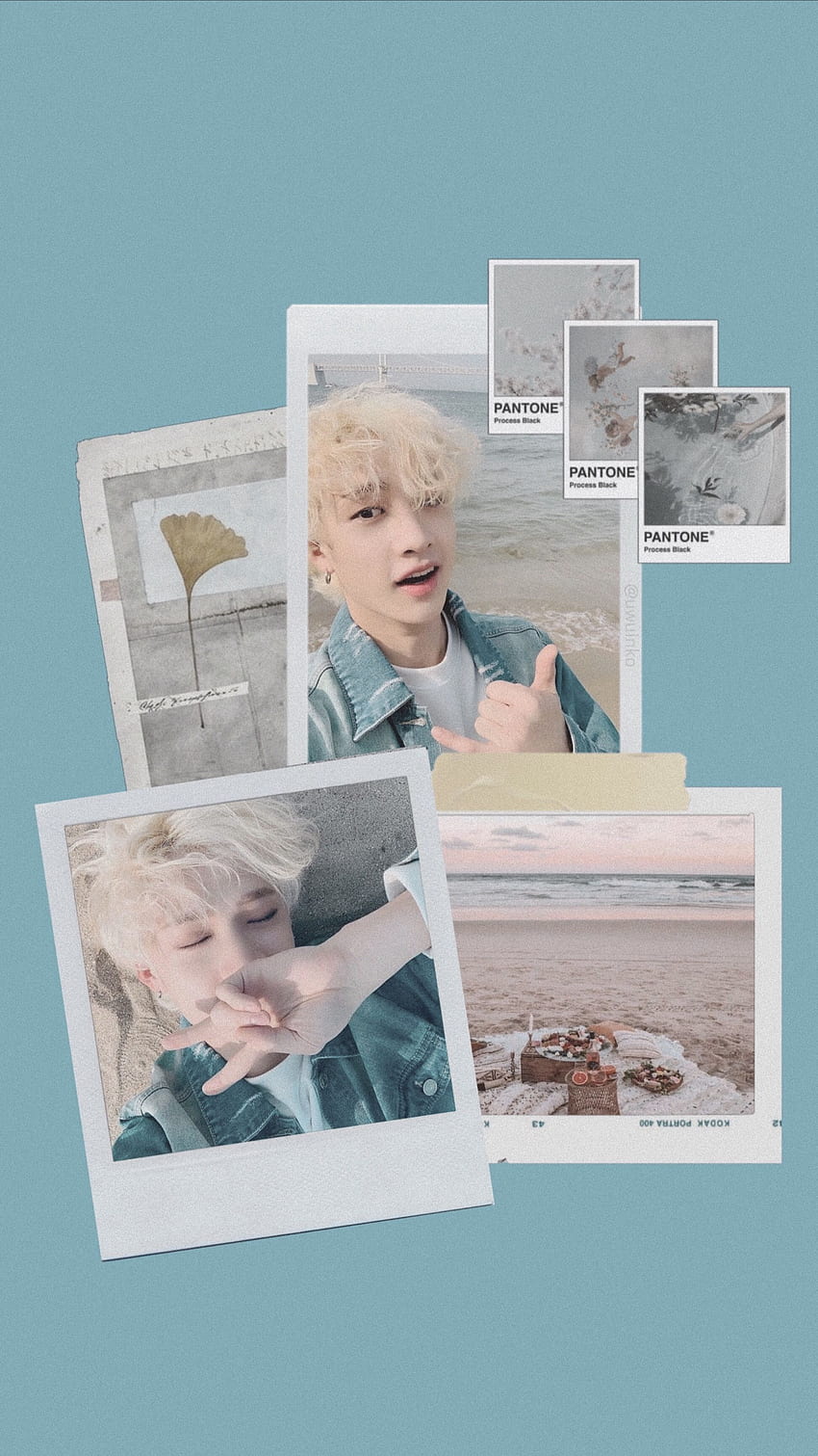 1920x1080px, 1080P Free download | Bangchan Aesthetic. Cute cat , Stray