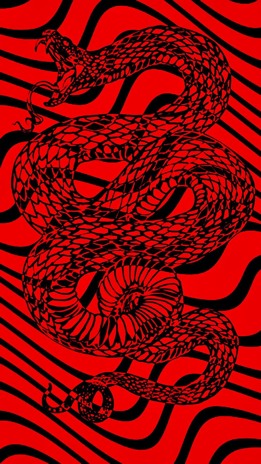 붉은 뱀 . 뱀, 빨간색과 검은색, 빨간색과 검은색 배경 HD 전화 배경 화면