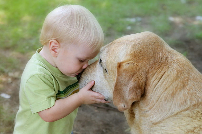 Niño y perro - amigos, paga, perros, lindo, cachorros, belleza, cara de perro, animales, amigos, dulce, hermoso, juguetón, perro juguetón, cachorro, niño, bonito, cara, encantador, burbujas fondo de pantalla