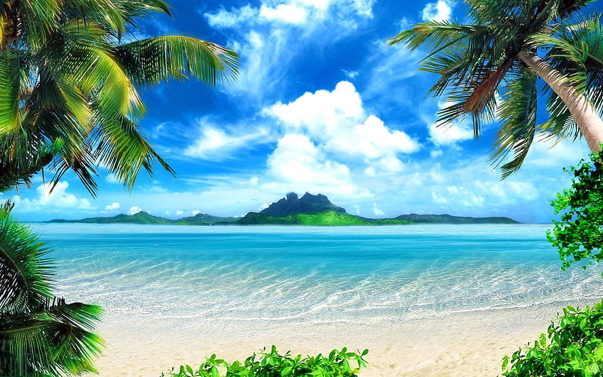 140 Tropical HD Wallpapers and Backgrounds