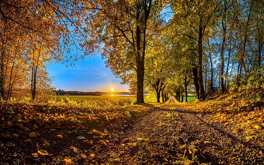 afternoon in the countryside, autumn, sun, dirt road, countryside HD wallpaper