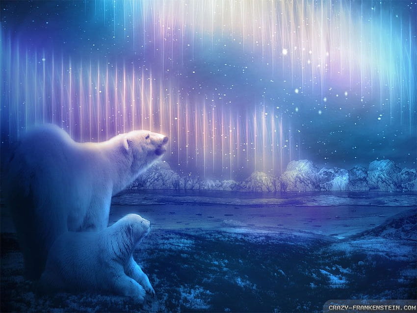 Arctic, Arctic Forest HD wallpaper