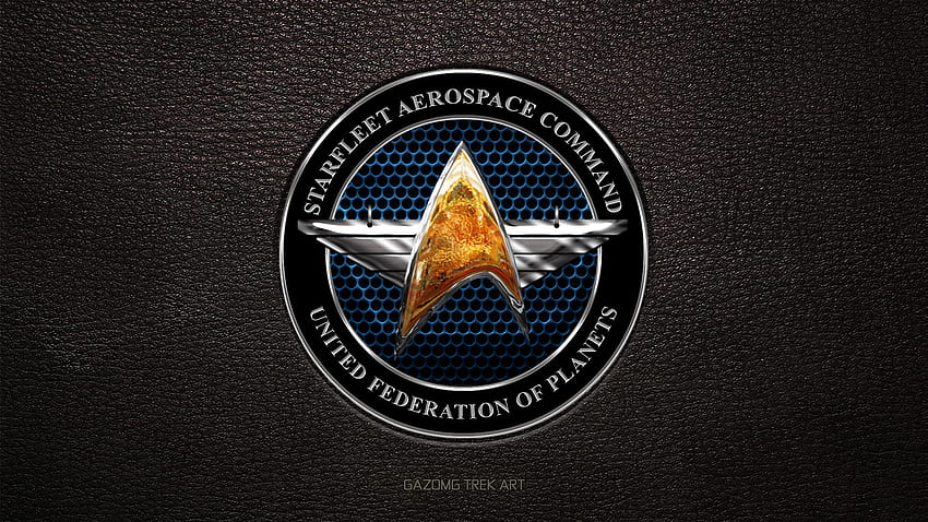 ... Gwiezdna Flota Dowództwo Lotnictwa i Kosmonautyki Star Trek autorstwa gazomg Tapeta HD