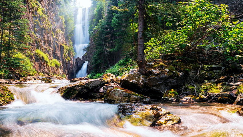 Natural Mystic - San Juan Mtn. Range, Colorado, trees, landscape, river, usa, cascades HD wallpaper