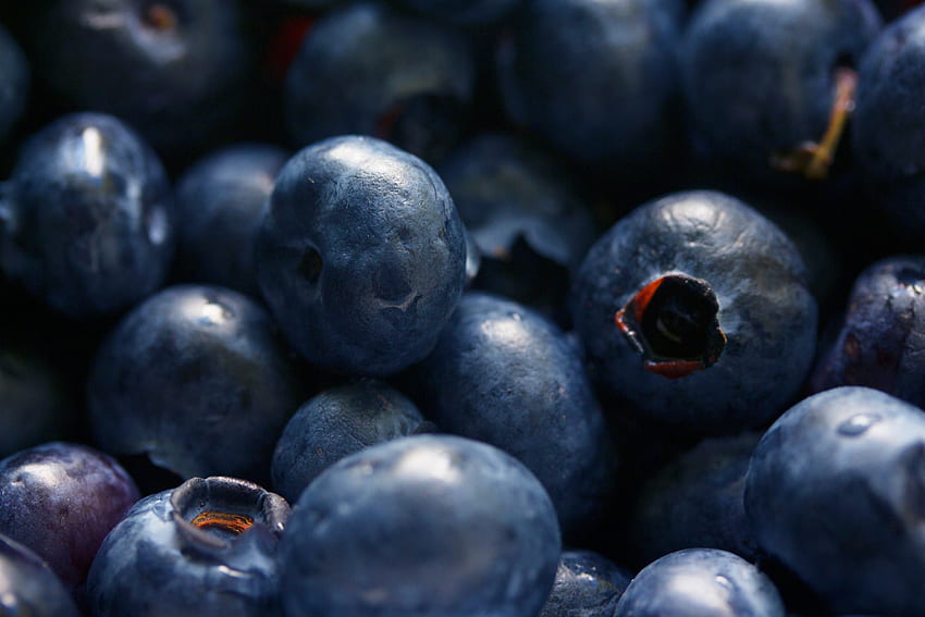 Food, Bilberries, Berries, Close-Up HD wallpaper