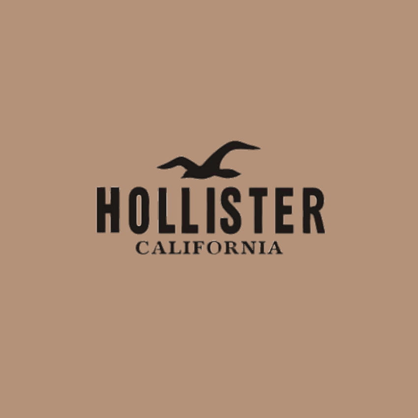 Hollister. Beige icons:), iPhone app, App icon HD phone wallpaper | Pxfuel