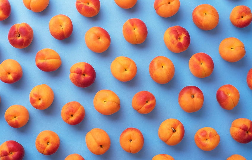 background, shadows, apricot, apricots, nectarine for , section еда HD wallpaper