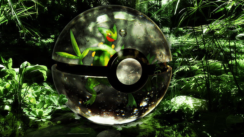 Sceptile pokeball, Pokemon Inside Pokeball HD wallpaper