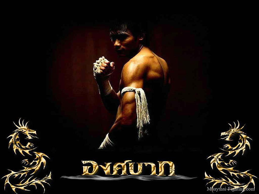  Muay Thai. fondo de pantalla